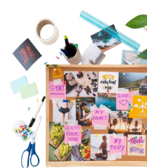 Voir toutes les activités